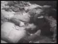 ZEGOTA saved 50000 Jews from Holocaust 3/3