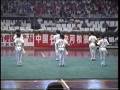 Wushu - Jibengong