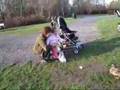 Feeding The Ducks