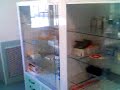 Centro Veterinario �pila