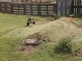 ????????????? ?????????????