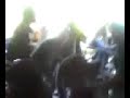 Perreo