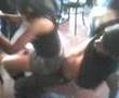 Perreo