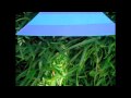 videos de Seeing Triangles