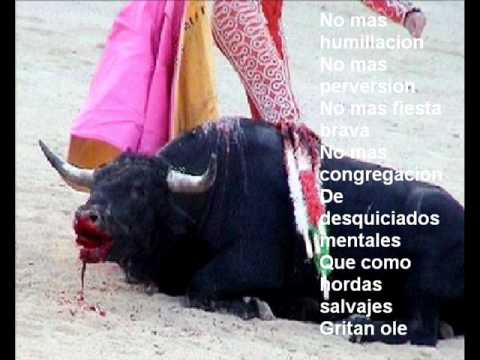 Imagen de previsualización de YouTube