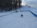 BCSKI - 4est learning to ski in beautiful BC!