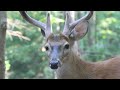 Bays Mountain Park, Official Best of Tennessee 2009