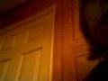 videos de i am bored