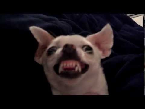 sweetfacesjc - Frannie smiles big for her grandma!