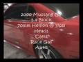 Mofo Productions- TT GTO,Turbo 5.4 Stang,Turbo 4V Stang