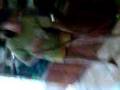 Momentoo dona de ksa