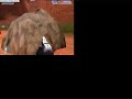 Halo ownage vid1 Halo ownage vid1