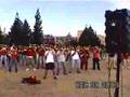 USC TMB In the Stone