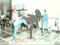 Rodo & Gil VS Tigre Negro