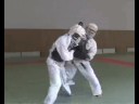nippon kempo meiji