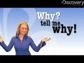 Why-Tell-Me-Why-Turk