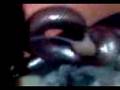 videos de snake feeding