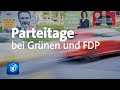 View 27 Fdp Grüne Vergleich