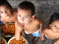 Tecnoartes - Campanha da Fraternidade 2007