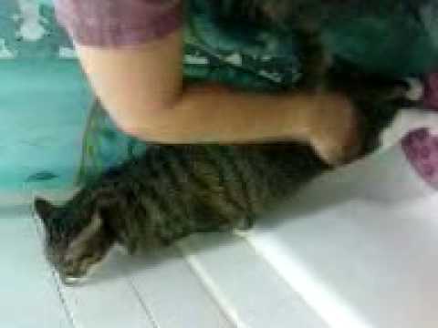 See video