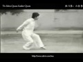 Hubei Yu Men Boxing - Liu He Quan [湖北: 渔门拳 -六合拳]