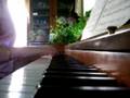 Mee Playing The Piano 