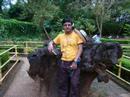 glimse of kerala palakkad