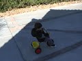Luke biking and Grandma and Poppa\