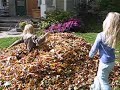 Leaf Castle Leaf Castle