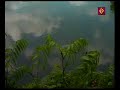 موسيقى جميلة + حيوانات + قناة عجمان