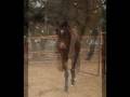 videos de R.I.P. Providence aka Denny
