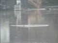 Suwanee SpringFest Flood footage - March, 2005 Suwanee SpringFest Flood footage - March, 2005