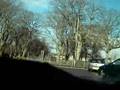 Trip through Stornoway