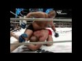 The Real Best Fighter In The Planet