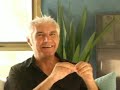Alf Orpen - January Newsletter