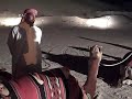 Dubai camels