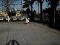 Ejercicios de velocidad