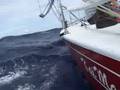 Sail Kai Mana