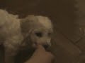 prst�ky jsou dobr�.MP4