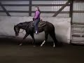 Semi Dark Chocolate