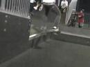 wakefield sesh wakefield sesh