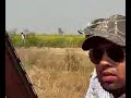 Pheasant Hunting In Pakistan Pheasant Hunting In Pakistan
