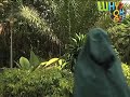 Youth Guru saves the environment!