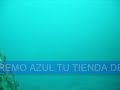 PESCA SUBMARINA LUBINA/ROBALO