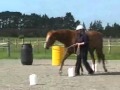 Movie OHLA Nov '11 with commentary.wmv