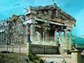 Greek Dicus
