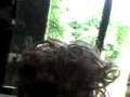 videos de los años 80 `en la comby o.o