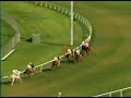 John Henry  - 1984 Sunset Hdcp