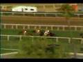 John Henry - 1984 Sunset Hdcp
