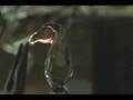 Flameworking